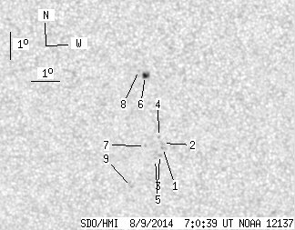No observation available