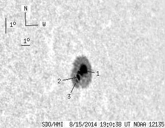 No observation available