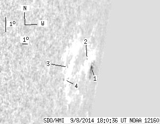 No observation available