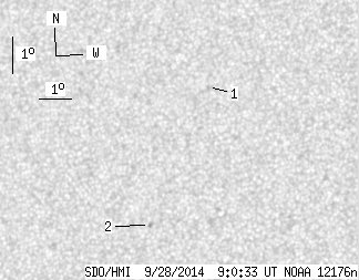 No observation available