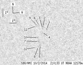 No observation available