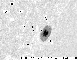 No observation available