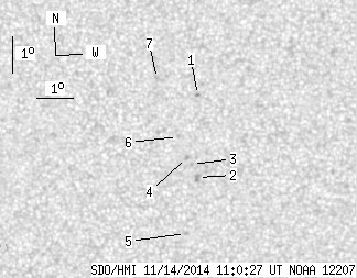 No observation available