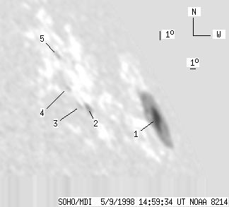 No observation available