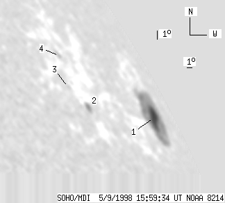 No observation available