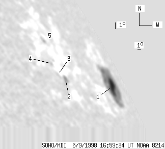 No observation available