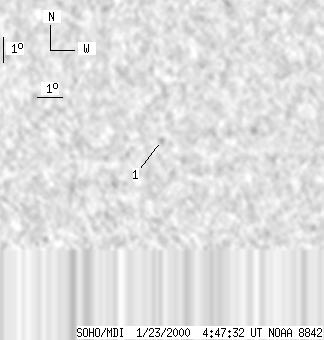 No observation available