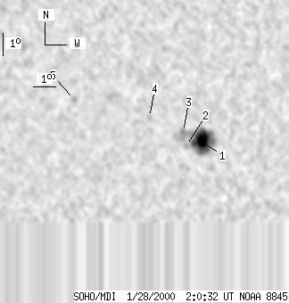 No observation available