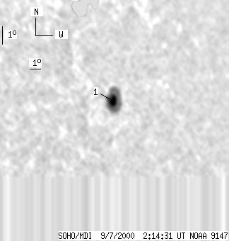 No observation available