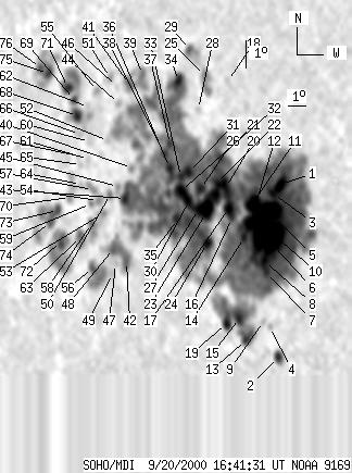 No observation available