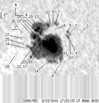 No observation available