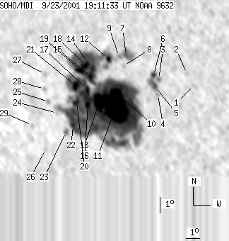 No observation available