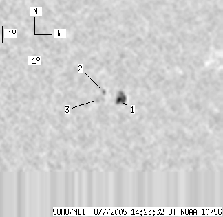 No observation available