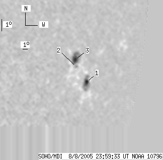 No observation available