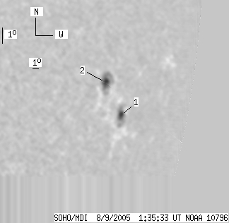 No observation available