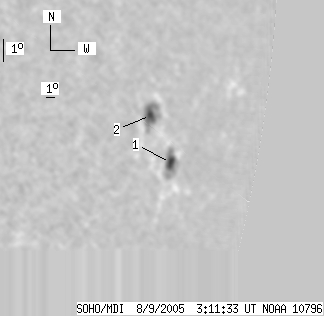 No observation available